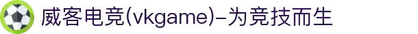 威客电竞(vkgame)-为竞技而生