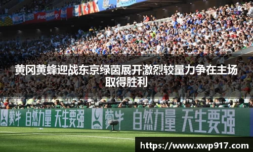 黄冈黄蜂迎战东京绿茵展开激烈较量力争在主场取得胜利